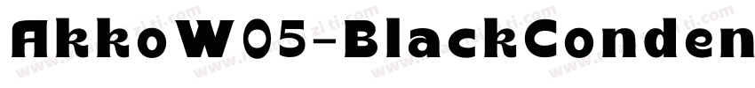 AkkoW05-BlackCondensed Regular字体转换